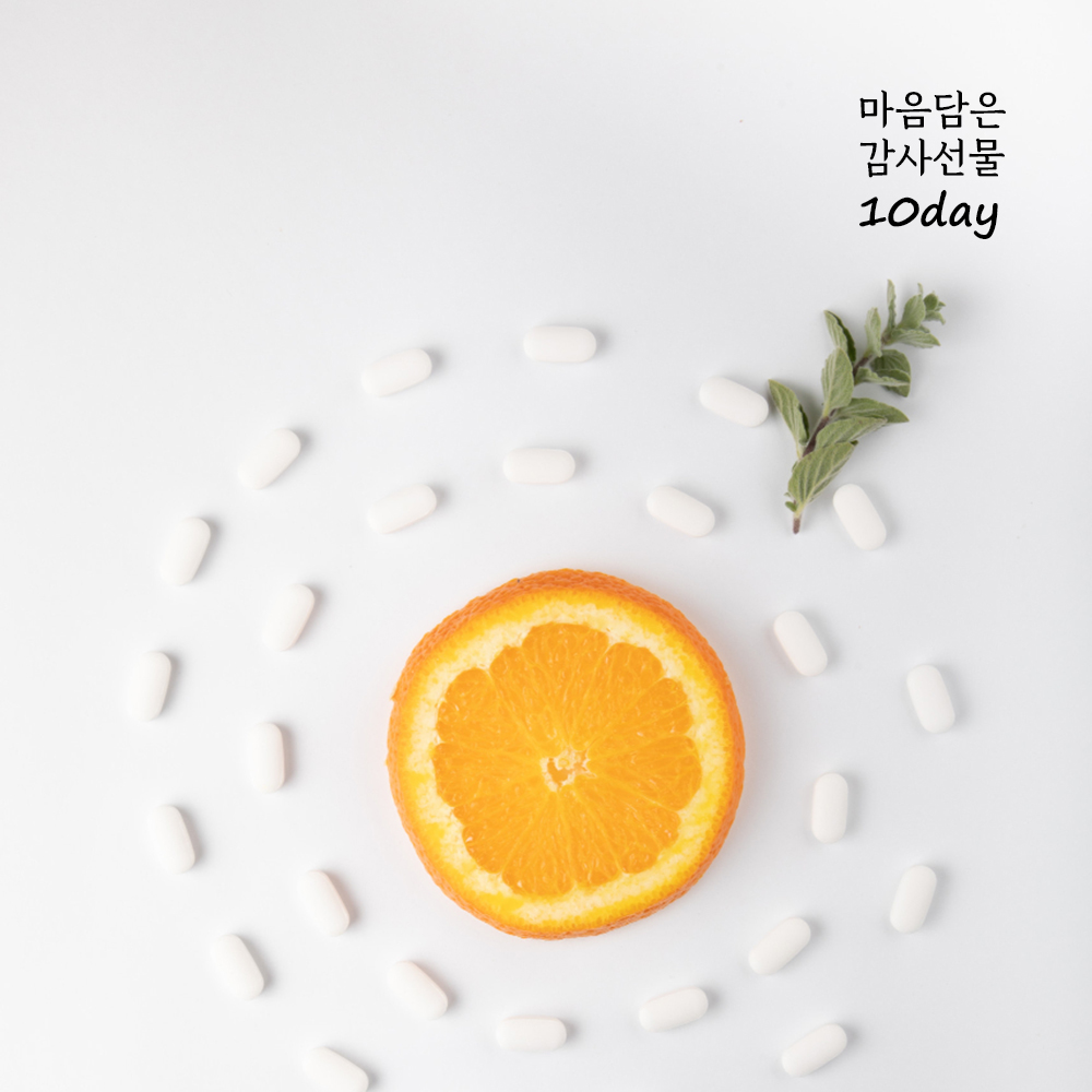 마음 담은 감사 선물 3호 종근당제약 비타씨플러스 2g X10개 GR03