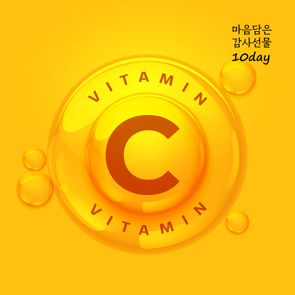 마음 담은 감사 선물 3호 종근당제약 비타씨플러스 2g X10개 GR03