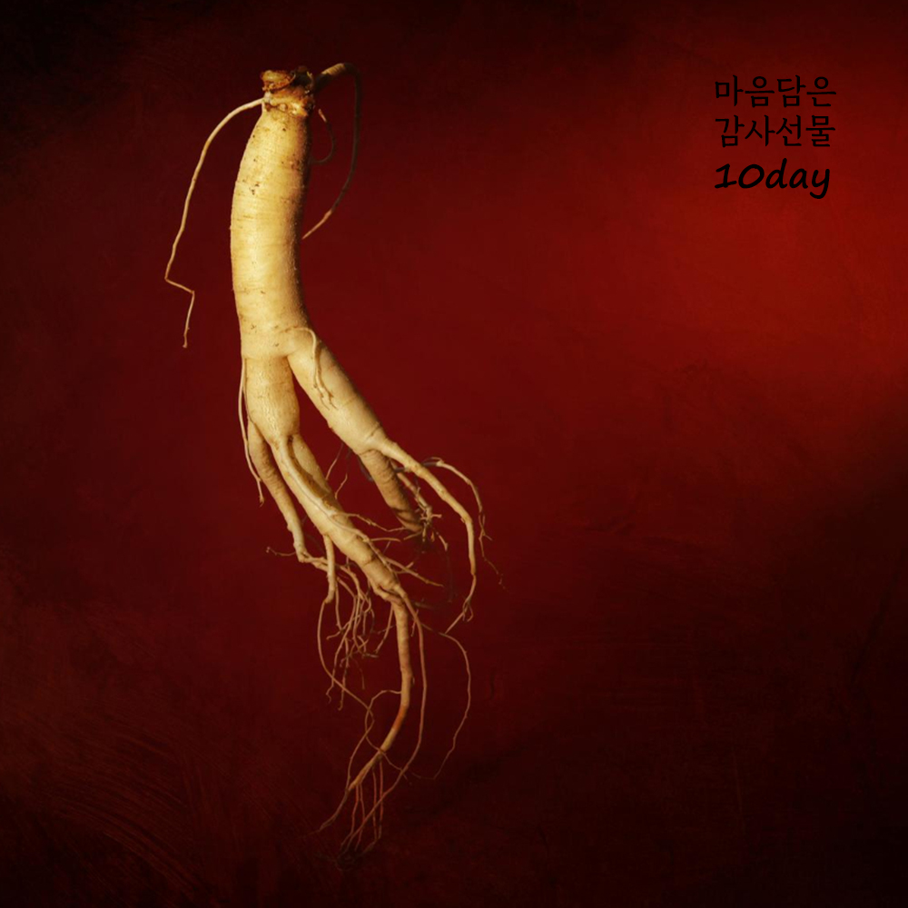 마음 담은 감사 선물 6호 GR06 홍삼에브리데이15g X 5개